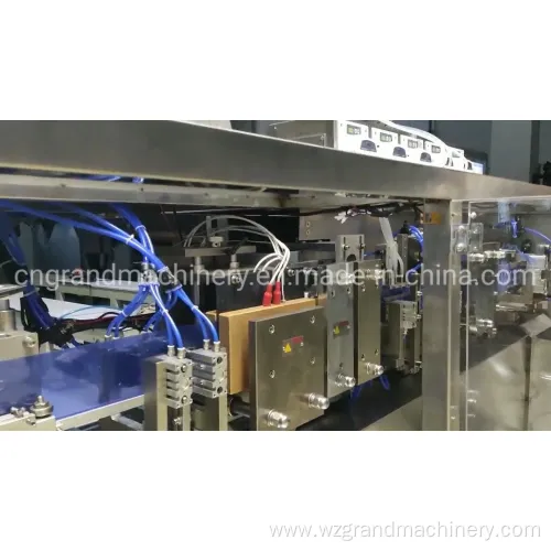 Nano Turmeric Solution Ampoule Filling Machine Ggs-240